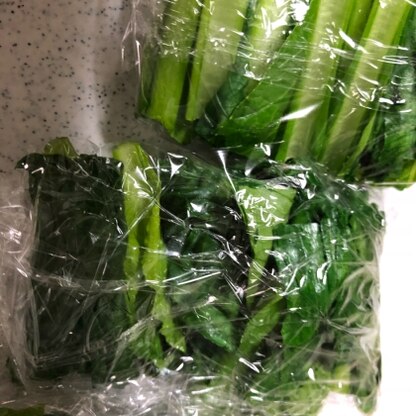 傷みやすい小松菜も冷凍保存できると
焦って食べなくても良いのがうれしいです笑
うれしいレシピをありがとうございますっ(o^^o)